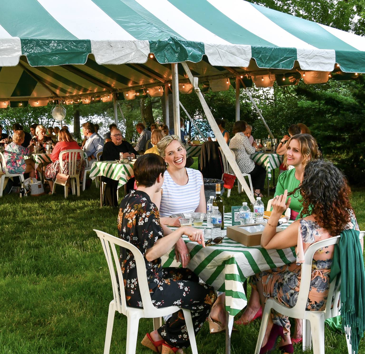 The 2024 Festival Season