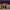 OTSL_2022_Carmen_OD2_Pub-041_1590x636_acf_cropped