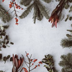 Festive sprigs of holly, eucalyptus, and pine needles against a backdrop of snow