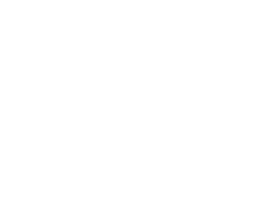 Steward Family Foundation