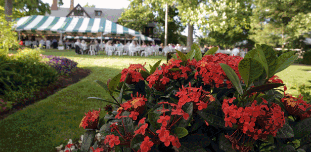 Our theatre and gardens